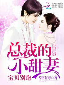 總裁的小甜悽,寶貝別跑